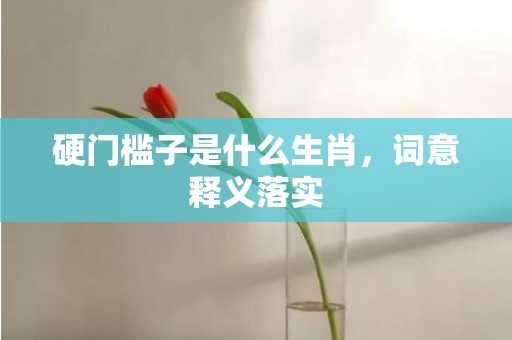 硬门槛子是什么生肖，词意释义落实