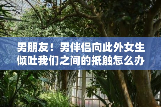 男朋友！男伴侣向此外女生倾吐我们之间的抵触怎么办？男伴侣和此外女生抱怨