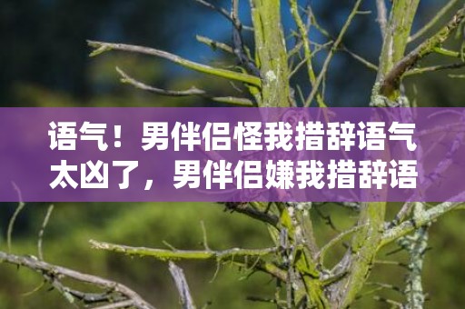 语气！男伴侣怪我措辞语气太凶了，男伴侣嫌我措辞语气欠好