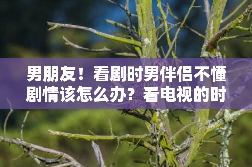 男朋友！看剧时男伴侣不懂剧情该怎么办？看电视的时辰男伴侣不爱措辞