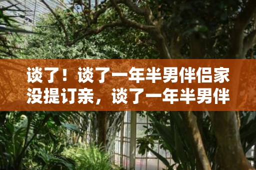 谈了！谈了一年半男伴侣家没提订亲，谈了一年半男伴侣不肯意成婚