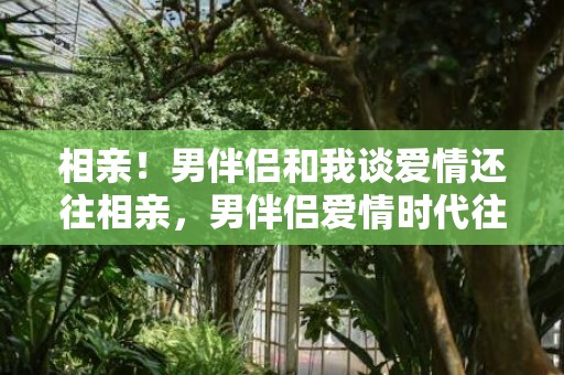 相亲！男伴侣和我谈爱情还往相亲，男伴侣爱情时代往相亲