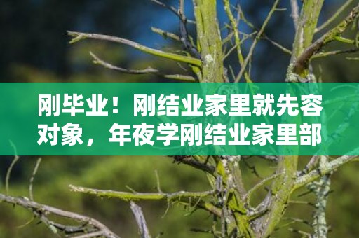 刚毕业！刚结业家里就先容对象，年夜学刚结业家里部署相亲对象