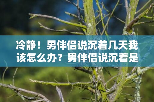 冷静！男伴侣说沉着几天我该怎么办？男伴侣说沉着是要分别吗