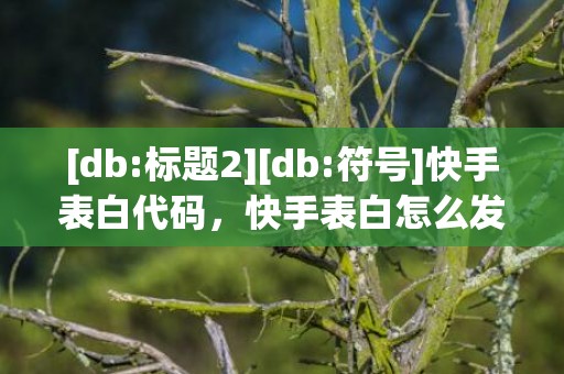 [db:标题2][db:符号]快手表白代码，快手表白怎么发表情包