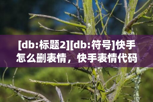 [db:标题2][db:符号]快手怎么删表情，快手表情代码怎么制作