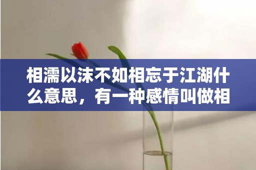 相濡以沫不如相忘于江湖什么意思，有一种感情叫做相忘于江湖