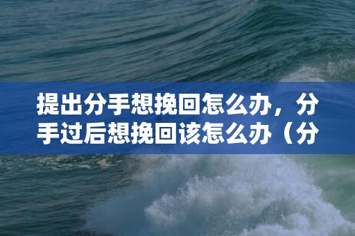 提出分手想挽回怎么办，分手过后想挽回该怎么办（分手后如何挽回?）