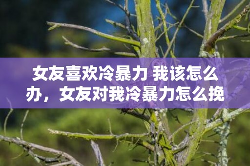 女友喜欢冷暴力 我该怎么办，女友对我冷暴力怎么挽回（女朋友冷暴力值得挽回吗）