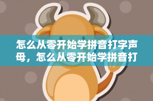 怎么从零开始学拼音打字声母，怎么从零开始学拼音打字