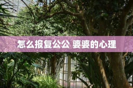 怎么报复公公 婆婆的心理