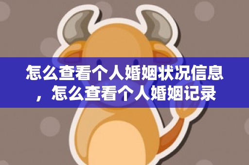 怎么查看个人婚姻状况信息，怎么查看个人婚姻记录