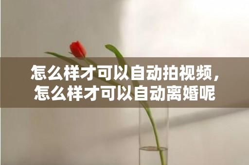 怎么样才可以自动拍视频，怎么样才可以自动离婚呢