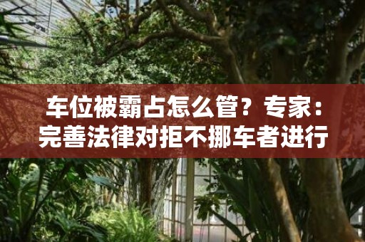 车位被霸占怎么管？专家：完善法律对拒不挪车者进行治安处罚