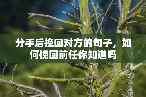 分手后挽回对方的句子，如何挽回前任你知道吗