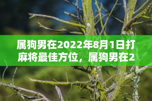 属狗男在2022年8月1日打麻将最佳方位，属狗男在2022年上半年婚姻运程 幸福指数高