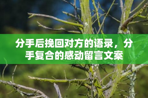 分手后挽回对方的语录，分手复合的感动留言文案