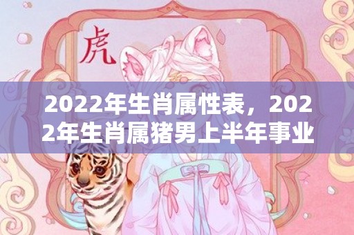 2022年生肖属性表，2022年生肖属猪男上半年事业运势 事业财运迎来转机