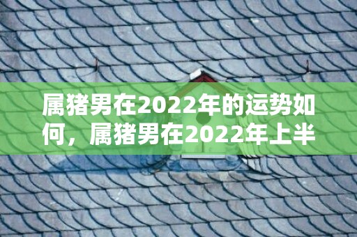 属猪男在2022年的运势如何，属猪男在2022年上半年婚姻运程 多沟通忌冷战