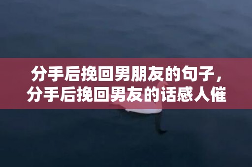 分手后挽回男朋友的句子，分手后挽回男友的话感人催泪