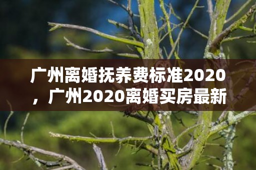 广州离婚抚养费标准2020，广州2020离婚买房最新政策