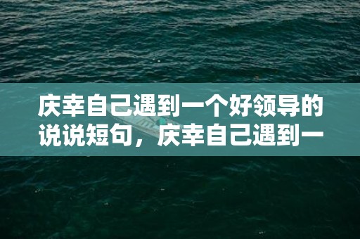 庆幸自己遇到一个好领导的说说短句，庆幸自己遇到一个好婆婆