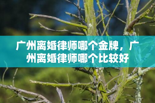 广州离婚律师哪个金牌，广州离婚律师哪个比较好