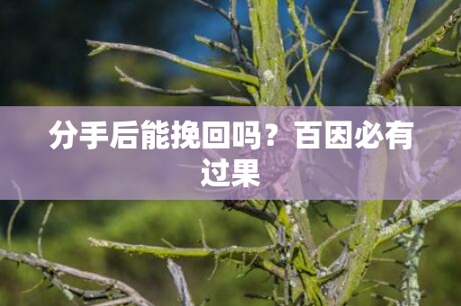 分手后能挽回吗？百因必有过果