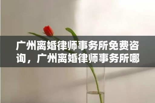 广州离婚律师事务所免费咨询，广州离婚律师事务所哪家好