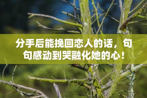 分手后能挽回恋人的话，句句感动到哭融化她的心！