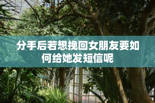 分手后若想挽回女朋友要如何给她发短信呢