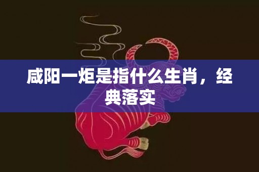 咸阳一炬是指什么生肖，经典落实