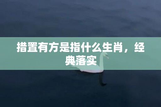 措置有方是指什么生肖，经典落实