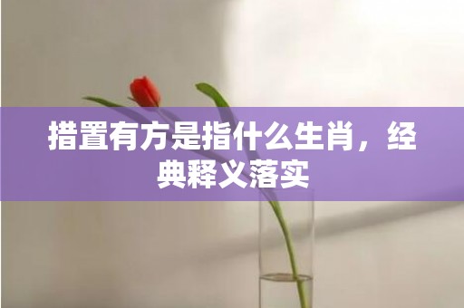 措置有方是指什么生肖，经典释义落实