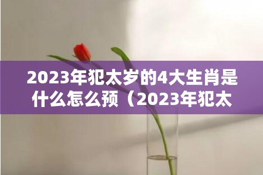 2023年犯太岁的4大生肖是什么怎么预（2023年犯太岁最凶四大生肖,2023犯太岁怎么化解）