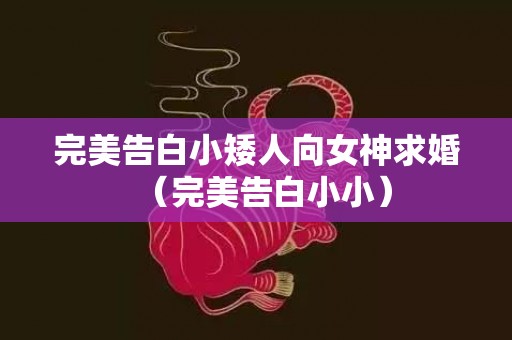 完美告白小矮人向女神求婚（完美告白小小）