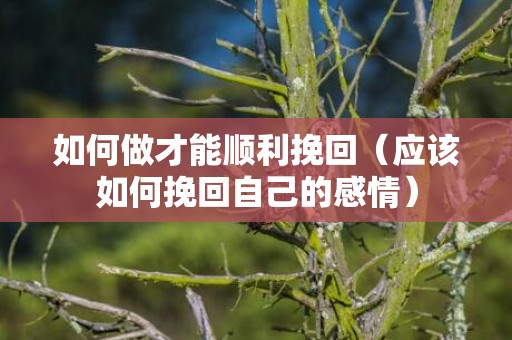 如何做才能顺利挽回（应该如何挽回自己的感情）