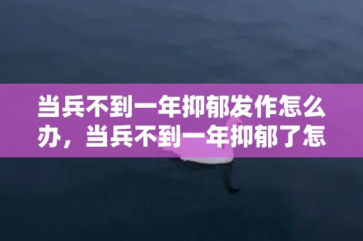 当兵不到一年抑郁发作怎么办，当兵不到一年抑郁了怎么办