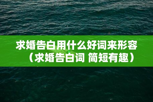 求婚告白用什么好词来形容（求婚告白词 简短有趣）