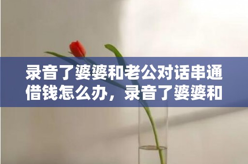 录音了婆婆和老公对话串通借钱怎么办，录音了婆婆和老公对话