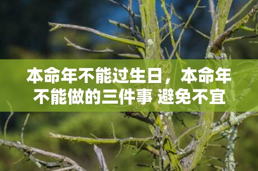 本命年不能过生日，本命年不能做的三件事 避免不宜以保安稳