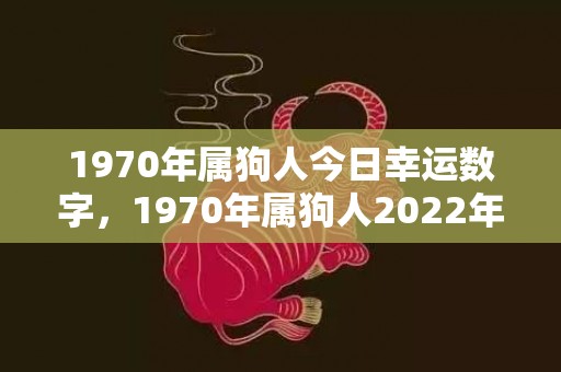 1970年属狗人今日幸运数字，1970年属狗人2022年运势及运程 1970年属狗人2022年有一灾吗