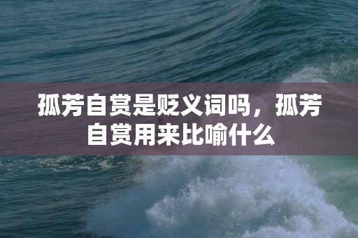 孤芳自赏是贬义词吗，孤芳自赏用来比喻什么