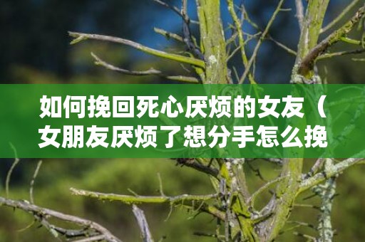 如何挽回死心厌烦的女友（女朋友厌烦了想分手怎么挽回）