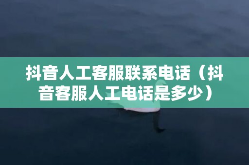 抖音人工客服联系电话（抖音客服人工电话是多少）