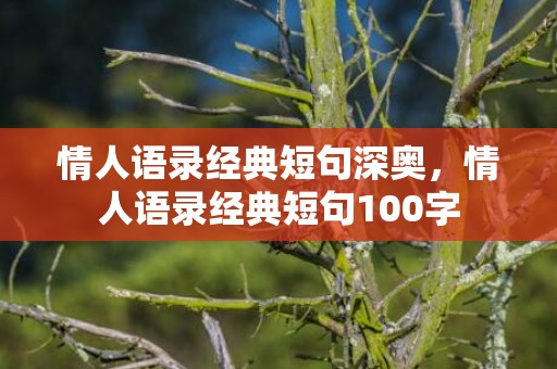 情人语录经典短句深奥，情人语录经典短句100字