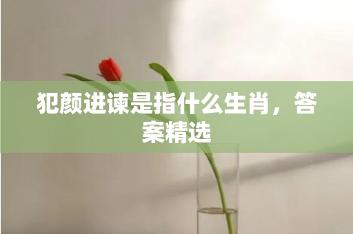 犯颜进谏是指什么生肖，答案精选