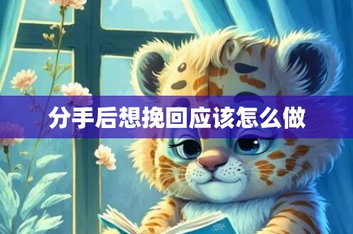 分手后想挽回应该怎么做