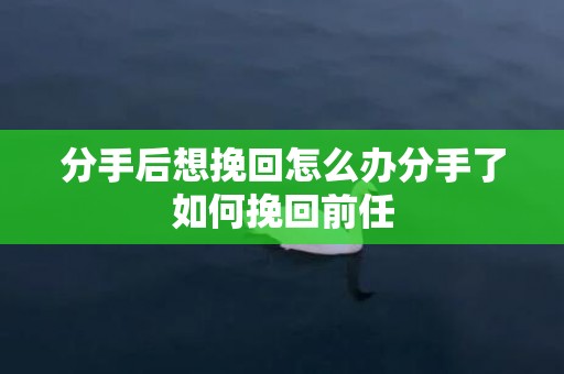 分手后想挽回怎么办分手了如何挽回前任