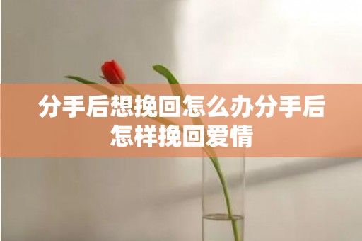 分手后想挽回怎么办分手后怎样挽回爱情